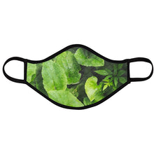 Load image into Gallery viewer, Vegetation