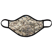 Load image into Gallery viewer, Washington Trees