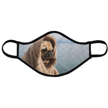 Load image into Gallery viewer, puggo