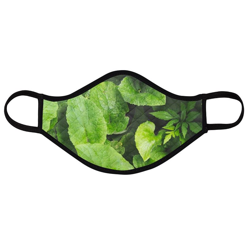 Vegetation