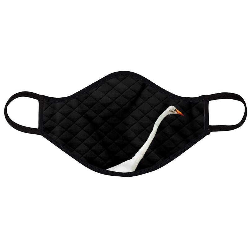 Swan no mistakes